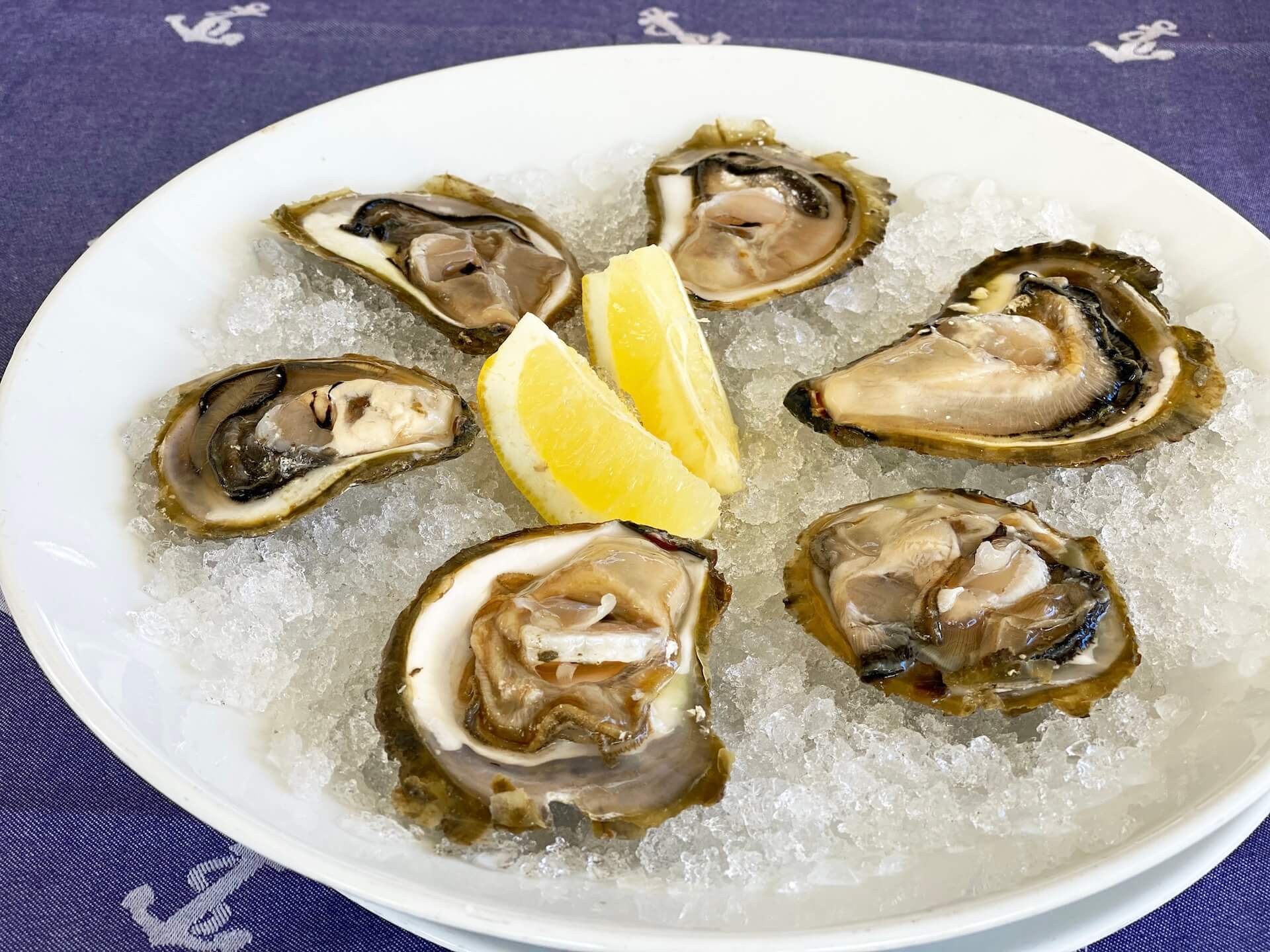 A plate of fresh Mali Ston oysters on crushed ice with lemon.